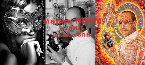 индика Беломорск
