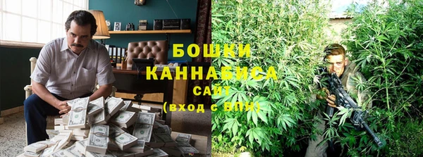 индика Беломорск