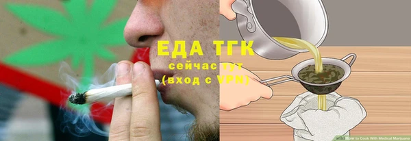 индика Беломорск