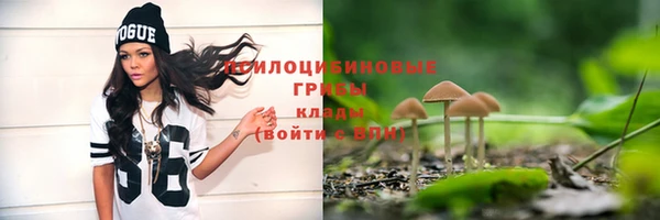 ALPHA-PVP Белокуриха