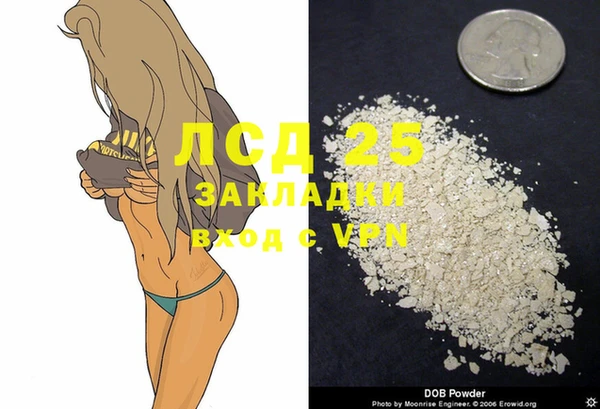 индика Беломорск
