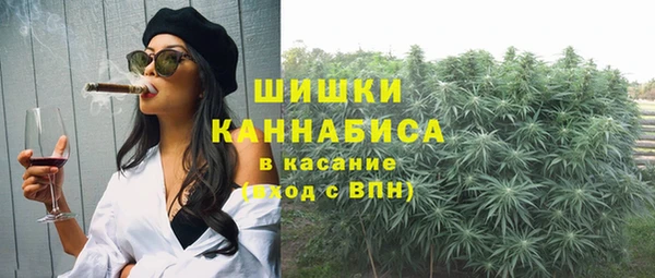 индика Беломорск