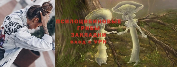 индика Беломорск