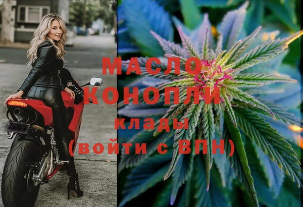 индика Беломорск