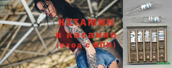 индика Беломорск