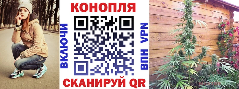 Шишки марихуана VHQ  купить  сайты  Невель 